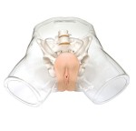  Model damski do nauki cewnikowania