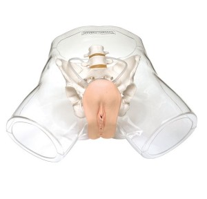  Model damski do nauki cewnikowania