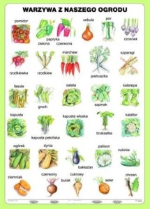 Warzywa z naszego ogrodu plansza dwustronna