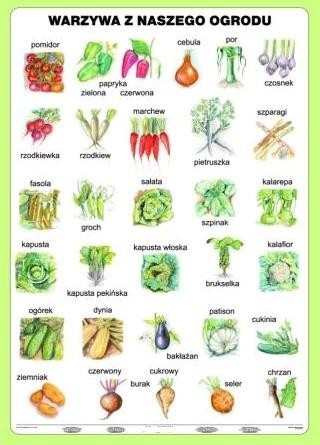 Warzywa z naszego ogrodu - strona pierwsza