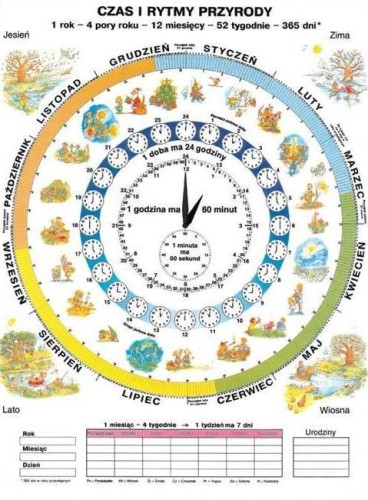 Czas i Rytmy Przyrody - plansza dwustronna