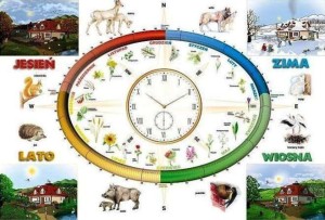 Rytmy przyrody plansza 160 x 120 cm