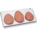 Model do badania piersi zestaw