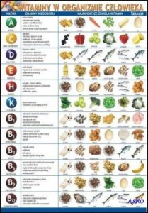 Biologia zestaw 7 plansz 