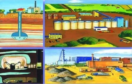 Pochodzenie i produkcja żywności cz. II - pakiet edukacyjny