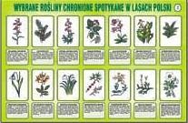 Chrońmy nasze środowisko część I pakiet edukacyjny