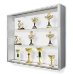 Gablota na puchary 150x110x25 cm