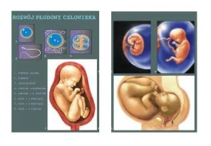 Wychowanie do życia w rodzinie - zestaw edukacyjny