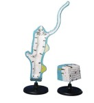 Stułbia zestaw 2 modele