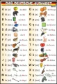 Das Deutsche Alphabet