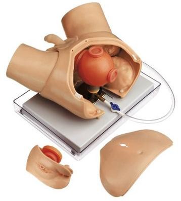 Fantom do badań urologicznych z użyciem endoskopu 